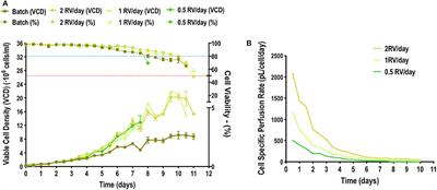 An Alternative Perfusion Approach for the Intensification of Virus-Like Particle Production in HEK293 Cultures